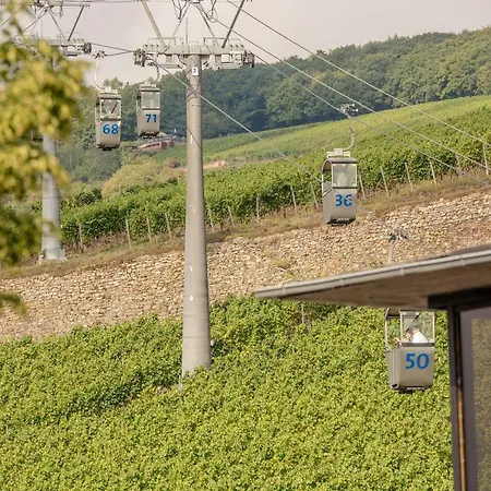Apartamento Talstation 20 / Innenstadt, 2 Schlafzimmer, Terrasse